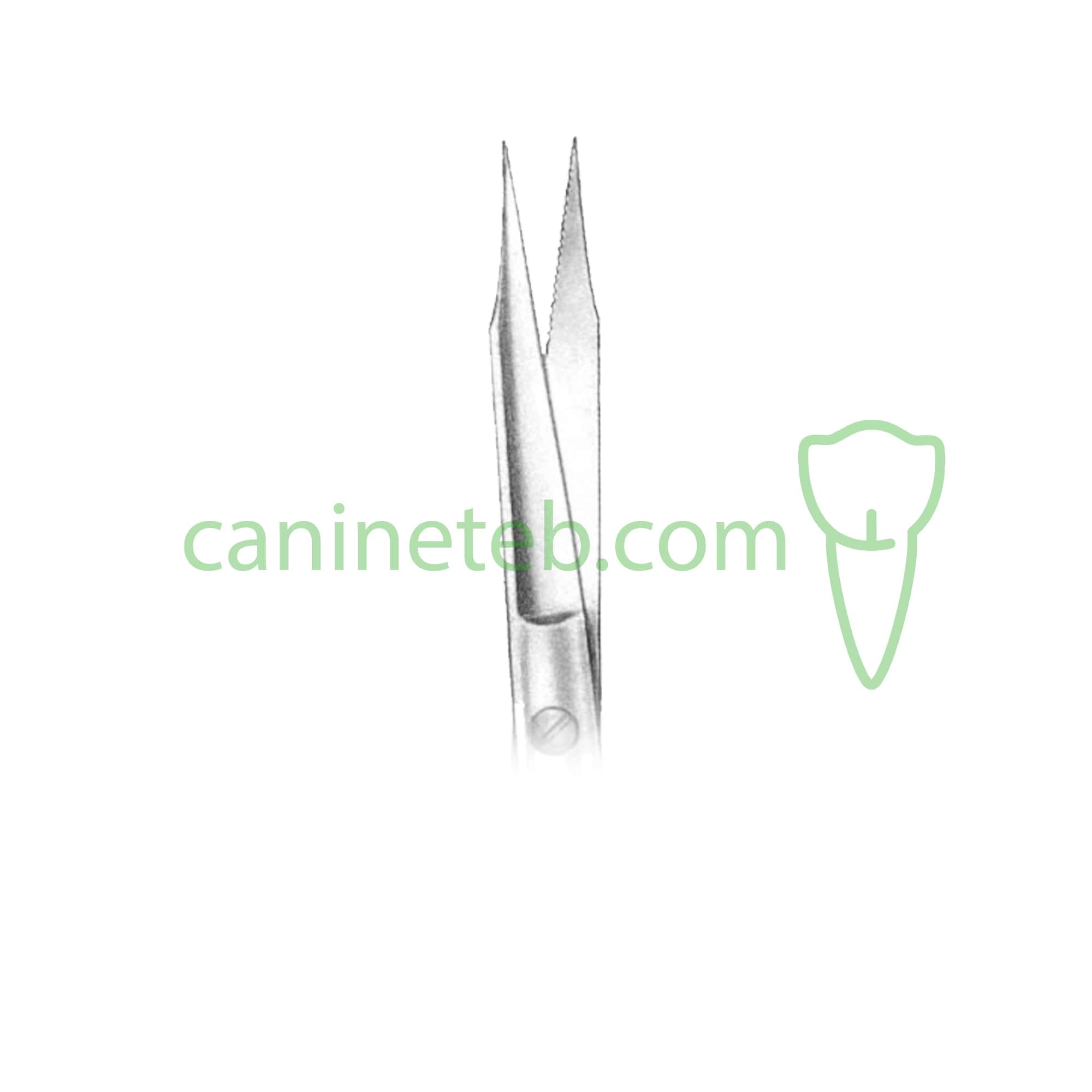 قیچی دندانپزشکی جراحی دنتال دیوایس